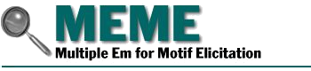 MEME logo