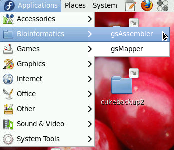 bioinformatics menu, gsAssembler sub menu